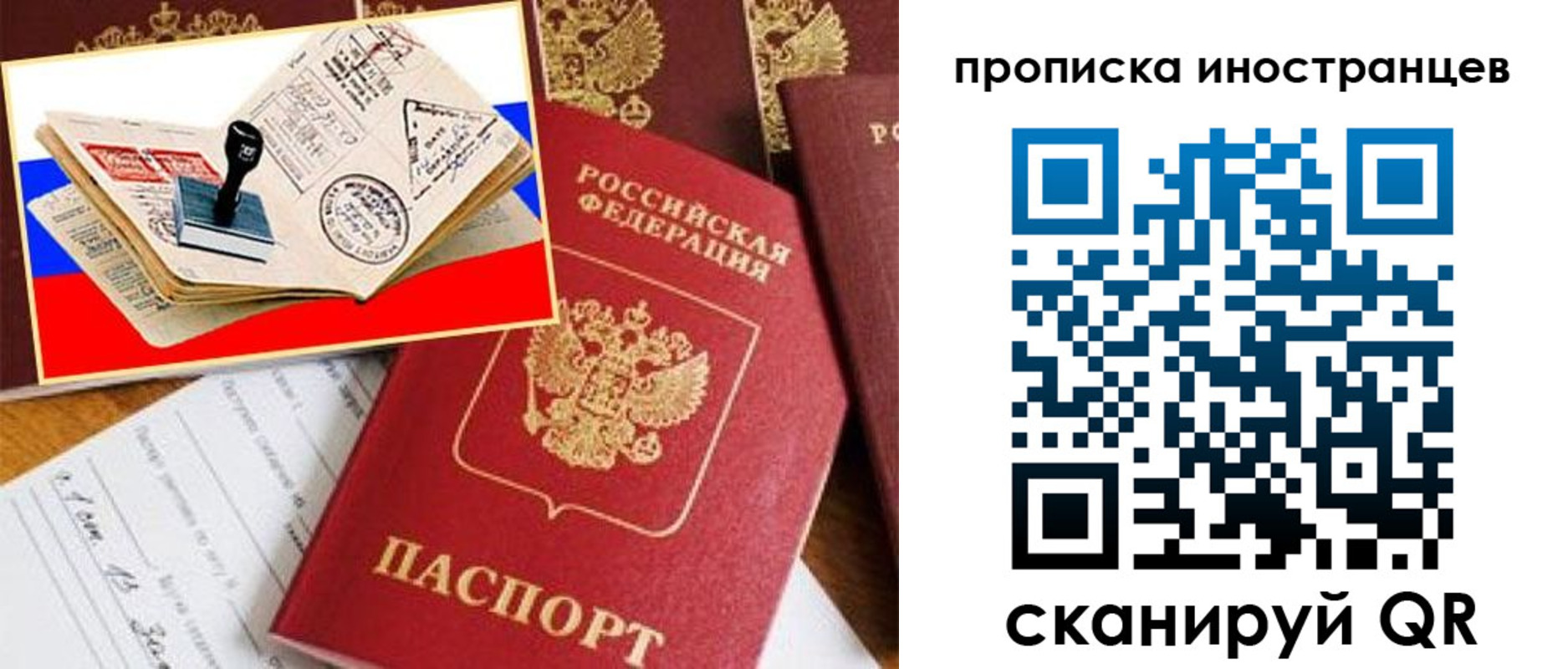 найти адрес прописки в Оленегорске